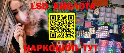 винт Донецк