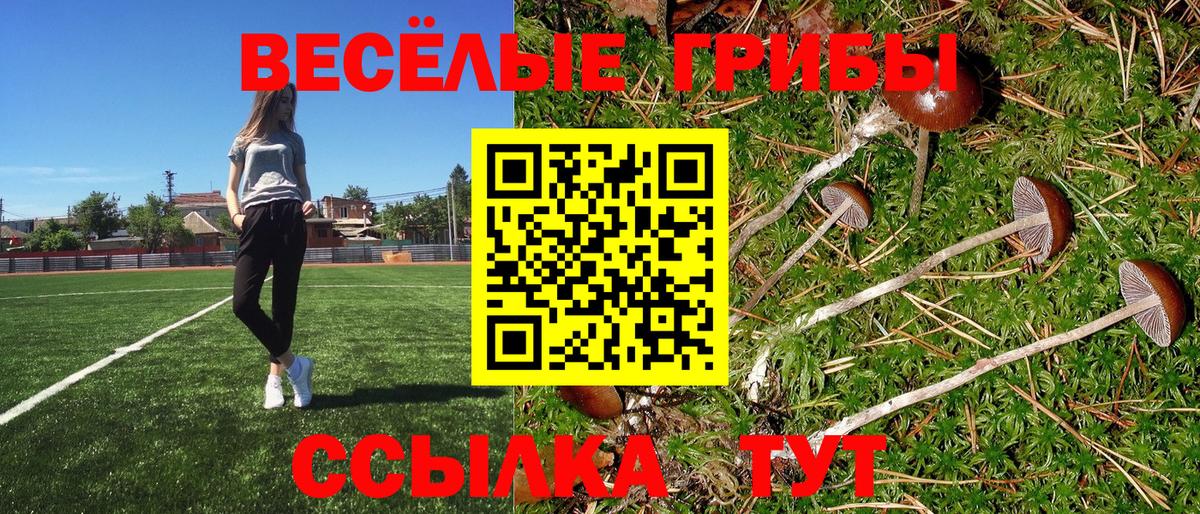 Псилоцибиновые грибы GOLDEN TEACHER  Вход с VPN  Пенза 
